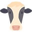 9nw.cc icon
