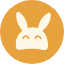 alicenetworks.net icon