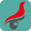 chsi.com.cn icon
