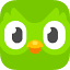 duolingo.com icon