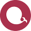 echarts.apache.org icon