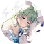 natfrp.com icon