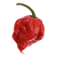 ntcore.com icon