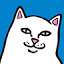 ripndipclothing.com icon
