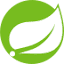 spring.io icon