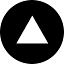 veris.ai icon