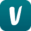 vinted.com icon