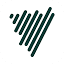 voicenotes.com icon