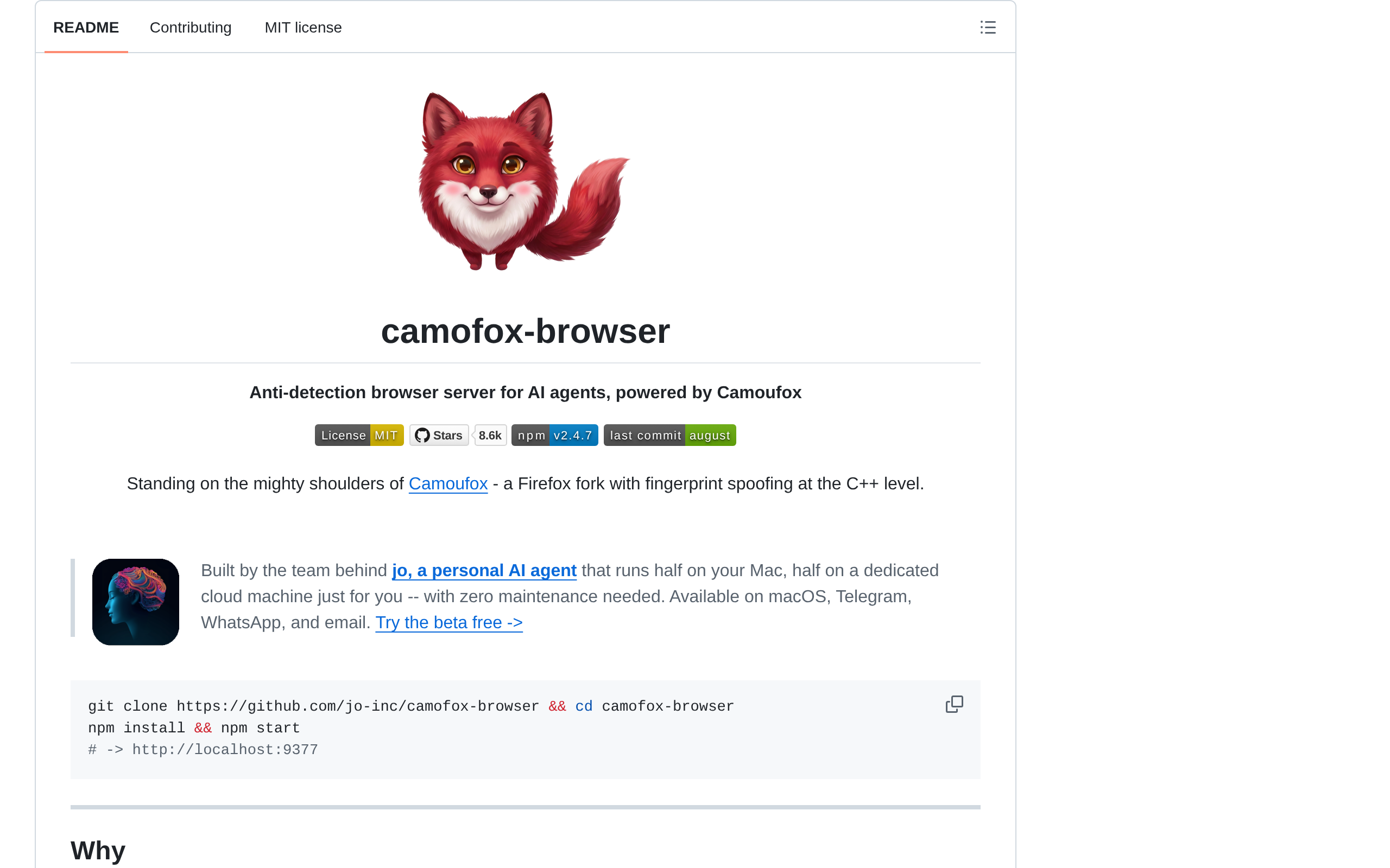 Camofox Browser · 首页